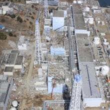 Fatkeqësia e Fukushimës, Japoni