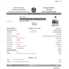 Fast registration and obtaining a visa to the UAE